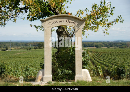 Clos des Ormes premier Cru Weingut Zeichen und verkrüppelte Baum an Morey St Denis, Burgund, Frankreich Stockfoto