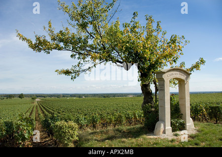 Clos des Ormes premier Cru Weingut Zeichen und verkrüppelte Baum an Morey St Denis, Burgund, Frankreich Stockfoto