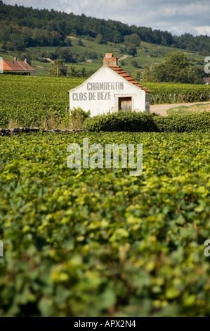 Blick von Chambertin Weinberge in Richtung Weinberg Clos de Beze mit hängen der Montagne De La Combe Gri im Hintergrund Stockfoto