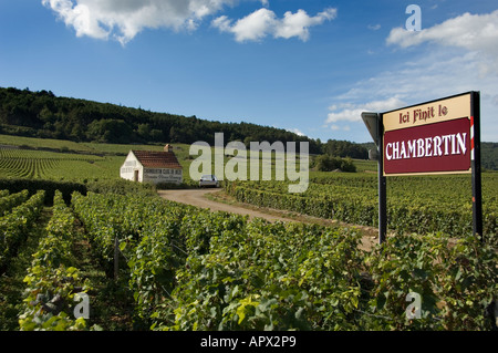 Clos de Beze grand Cru Weingut neben Chambertin Weinberge südlich des Dorfes, Burgund, Frankreich Stockfoto