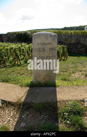 Clos de Beze grand Cru Weingut Zeichen neben die Weinbergen Chambertin auf der Westseite der D122, südlich des Dorfes Stockfoto