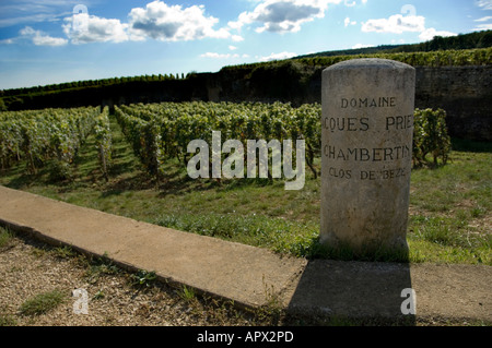 Clos de Beze grand Cru Weingut Zeichen neben die Weinbergen Chambertin auf der Westseite der D122, südlich des Dorfes Stockfoto