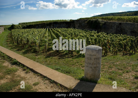 Clos de Beze grand Cru Weingut Zeichen neben die Weinbergen Chambertin auf der Westseite der D122, südlich des Dorfes Stockfoto