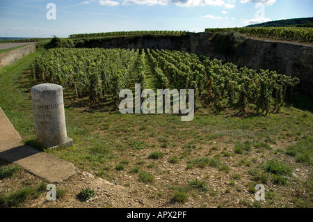 Clos de Beze grand Cru Weingut Zeichen neben die Weinbergen Chambertin auf der Westseite der D122, südlich des Dorfes Stockfoto