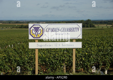 Charmes Chambertin grand Cru Pinot Noir Weingut Zeichen auf der Ostseite von der D122 Eingabe Gevrey Chambertin aus dem Süden Stockfoto