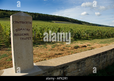 Domaine Rossignol-Trapet premier Cru Weingut Schild befindet sich südlich von Gevrey Chambertin Dorf in Burgund mit Reben hinter Stockfoto