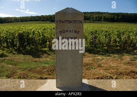 Domaine Rossignol-Trapet premier Cru Weingut Schild befindet sich südlich von Gevrey Chambertin Dorf in Burgund mit Reben hinter Stockfoto