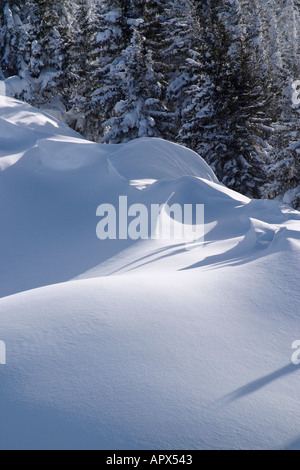 Schneetreiben auf Bergrücken. Stockfoto