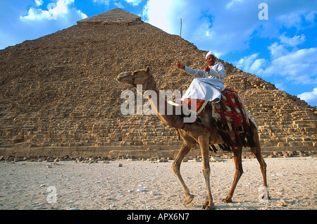Beduinen auf einem Kamel, Dromedar vor den Pyramiden von Gizeh, Ägypten Stockfoto