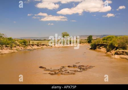 Malerischen Blick auf Flusspferde im Mara River (Hippopotamus Amphibius) am Mittag Stockfoto