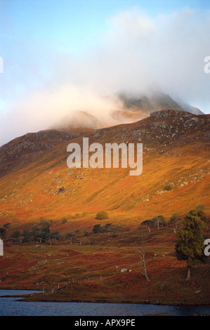 Glen Affric, Highland Schottland Stockfoto