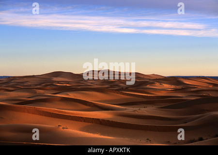 Panoramablick über den Sanddünen des Erg Chebbi Stockfoto