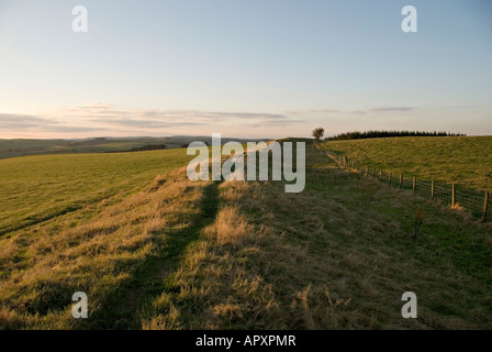 Offa's Dyke, Hawthorn Hill, in der Nähe von Knighton, Powys. Während der 8c von König Offa von Mercia gebaut. Teil einer langen Fußweg entlang der walisischen Grenze Stockfoto