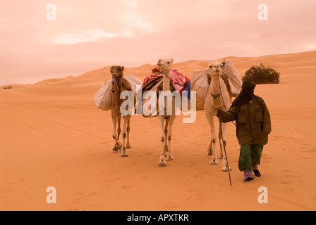 Ein einsamer Tuareg Mann überquert die libysche Sahara in der Nähe von Ubari an einem dumpfen bewölkten Tag mit seinen Kamelen Stockfoto