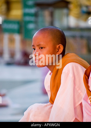 junge burmesische Nonne in Gedanken bei Sonnenaufgang Yangon Myanmar Stockfoto