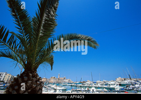 Trani, Apulien Italien Stockfoto