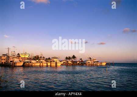 Hohe See Angelboote/Fischerboote, Isla Morada Florida Keys, USA Stockfoto