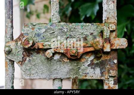 Bemalte rostigen alten Gartentor Riegel Stockfoto