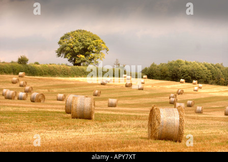 RUNDE HEUBALLEN IM BRITISCHEN ACKERLAND MIT REGENWOLKEN DROHEND ÜBER KOPF Stockfoto