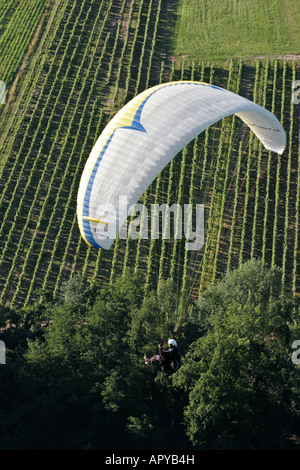 Blick hinunter auf einem weißen Gleitschirm fliegen über eine französische Weinberg Stockfoto