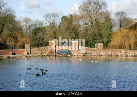 Fußgängerbrücke überqueren den See in St Albans Verulamium Park Hertfordshire Stockfoto