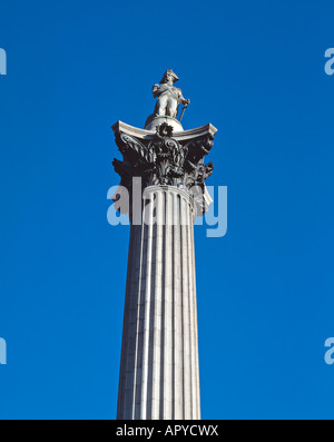 Sie suchen Bei Nelson's Column, Trafalgar Square, London, UK Stockfoto
