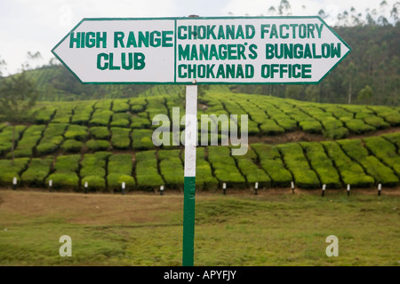 INDIEN-KERALA-MUNNAR-HOCHTON CLUB WEGWEISER UND TEE-PLANTAGE Stockfoto