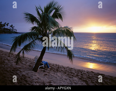 Ein Besucher sitzt unter einer Palme auf Napili Bay bei Sonnenuntergang an der Westküste von Maui Stockfoto