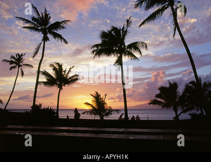 Ein Blick auf Palmen auf Napili Bay bei Sonnenuntergang an der Westküste von Maui Stockfoto