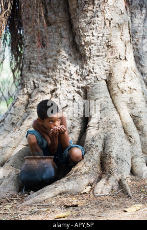 Indianerjunge Trinkwasser aus einem Tontopf auf Banyanbaum. Andhra Pradesh, Indien Stockfoto