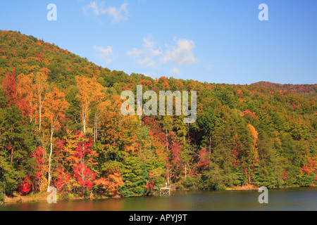 Fischer, Unicoi State Park Lake Helen, Georgia, USA Stockfoto