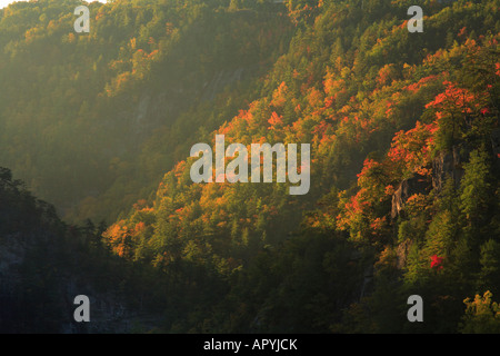 Sunrise, Tallulah Schlucht Staatspark, Tallulah Falls, Georgia, USA Stockfoto