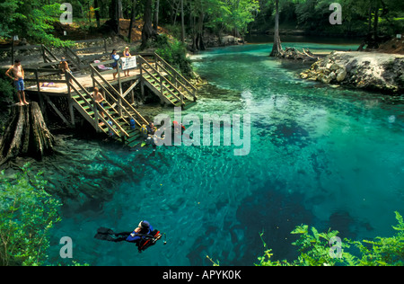 Taucher madison Blue Spring State Park Florida frisches Wasser Frühling tauchen Stockfoto