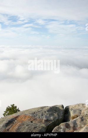 Mountain Top Beobachtung Punkt oberhalb einer Nebelbank mit Wolken den Himmel, eine 3000 Fuß-Spitze in North Carolina, NC, USA. Stockfoto