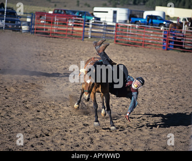 Rodeo, Ruby's Inn, Bryce Canyon, Utah, USA Stockfoto