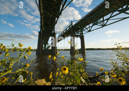 IOWA Bettendorf zwei Autobahn Brücken über Gewässer des Mississippi River Blick von unterhalb vom Ufer des Flusses Blumen Stockfoto