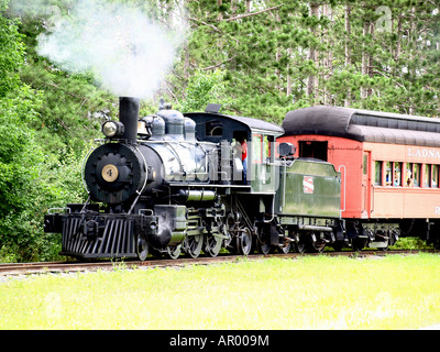 Eine Dampfmaschine 4 Laona Wisconsin Passagiere durch die bewaldete Landschaft Stockfoto