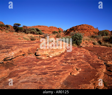 Kings Canyon Northern Territory Australien Stockfoto