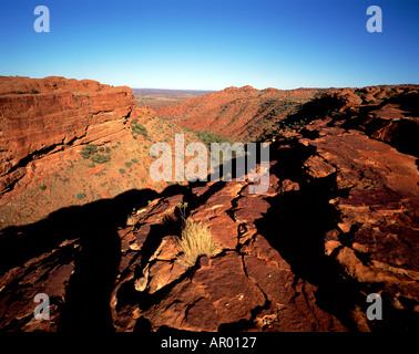 Kings Canyon Northern Territory Australien Stockfoto