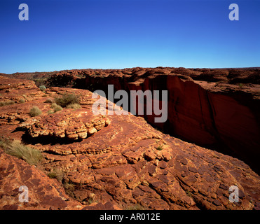 Kings Canyon Northern Territory Australien Stockfoto