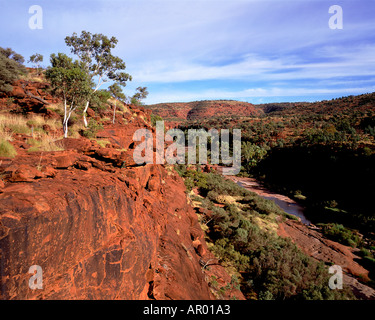 Kings Canyon Northern Territory Australien Stockfoto