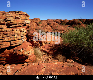 Kings Canyon Northern Territory Australien Stockfoto
