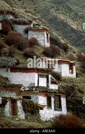 Ca. 120 Mönche jetzt live in der DRIGUNG-Kloster des Ordens Kagyu in ZENTRALTIBET 1179 gegründet Stockfoto