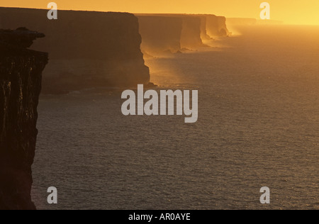 Nullabor Klippen am Abend Great Australian Bight, Nullarbor, Bunda Cliffs, Eyre Highway, South Australia, Australien Stockfoto