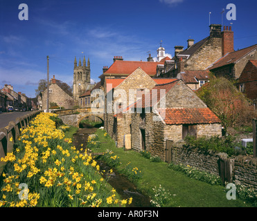 Frühling-Narzissen im Helmsley North Yorkshire Moors UK Stockfoto