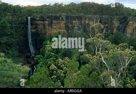 Fitzroy Falls, Morton Nationalpark, New South Wales, Australien Stockfoto