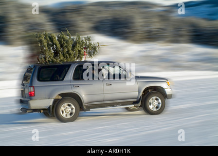 Weihnachtsbaum gebunden, Fahrzeug Top w/w/o Weihnachtsmann AK SC Winter Stockfoto