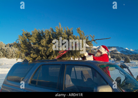 Weihnachtsbaum gebunden, Fahrzeug Top w/w/o Weihnachtsmann AK SC Winter Stockfoto