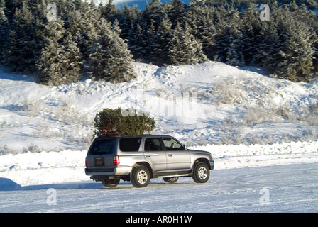 Weihnachtsbaum gebunden, Fahrzeug Top w/w/o Weihnachtsmann AK SC Winter Stockfoto