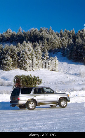 Weihnachtsbaum gebunden, Fahrzeug Top w/w/o Weihnachtsmann AK SC Winter Stockfoto